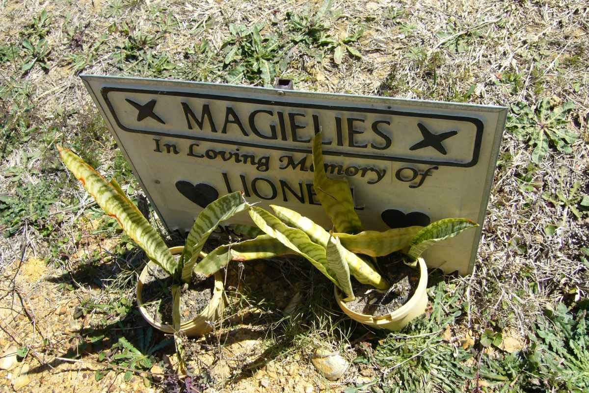 MAGIELIES Lionel -2004