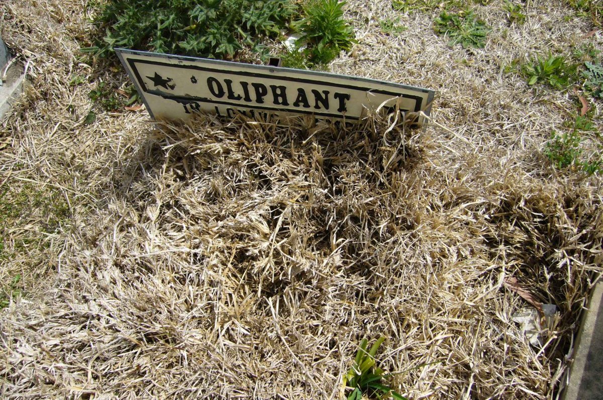 OLIPHANT