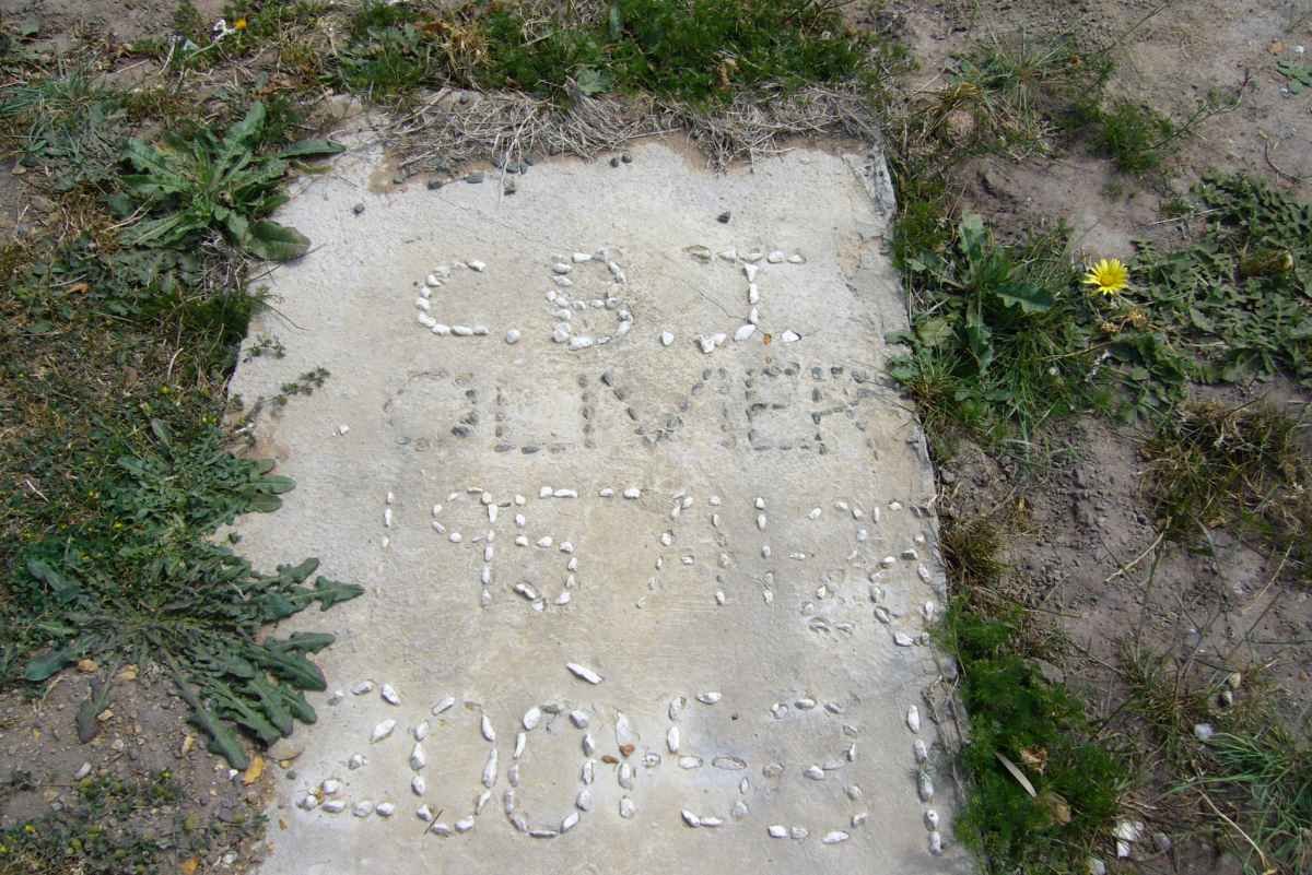 OLIVIER C.B.J. 1957-2001