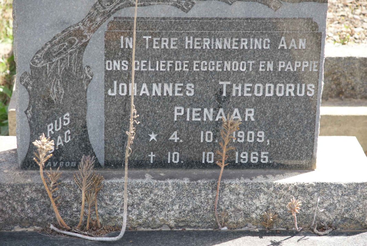 PIENAAR Johannes Theodorus 1909-1965