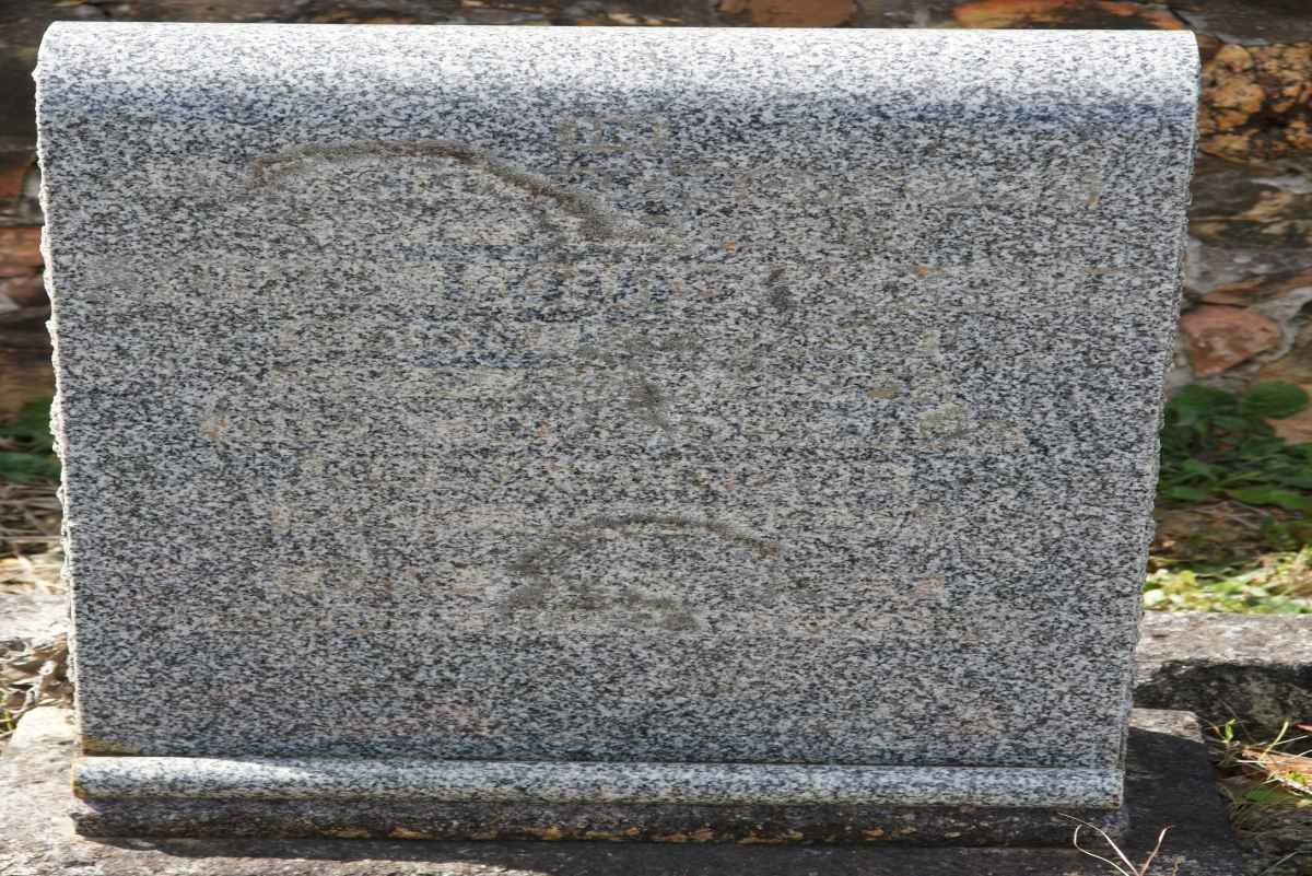 ? Johannes Louis
