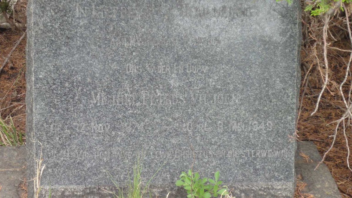 VILJOEN Michiel Petrus 1874-1949