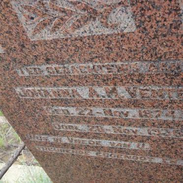 VENTER Johanna A.M. 1874-1935