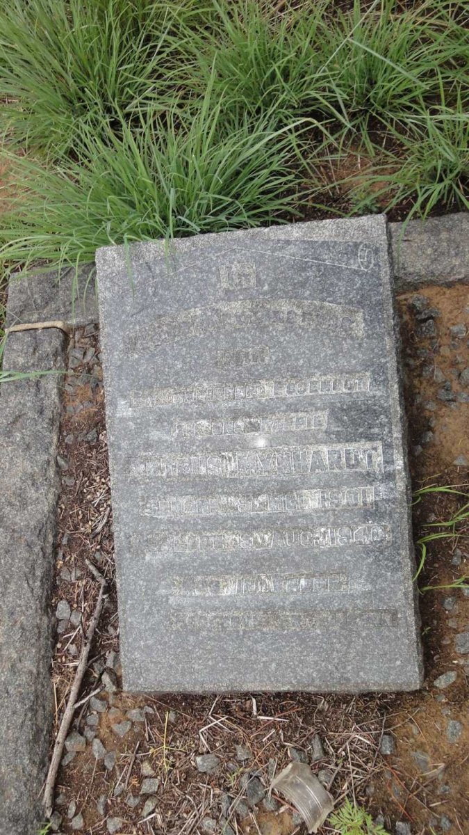 MYNHARDT Petrus 1901-1940