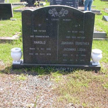 DAVISWORTH Harold 1890-1976 &amp; Johanna Dorothea Jacomina 1888-1970