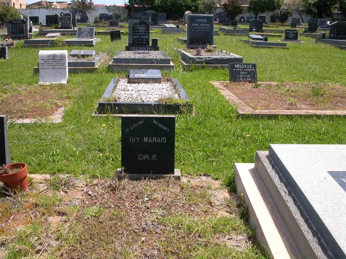 MARIAS Ivy