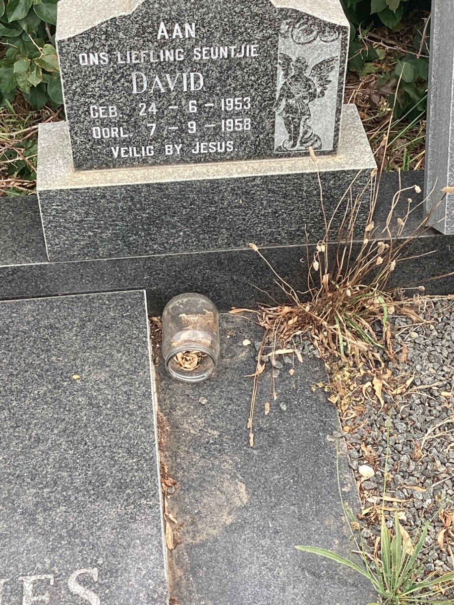 ? David 1953-1958