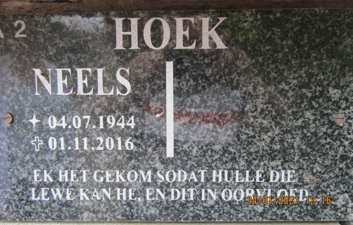 HOEK Neels 1944-2016