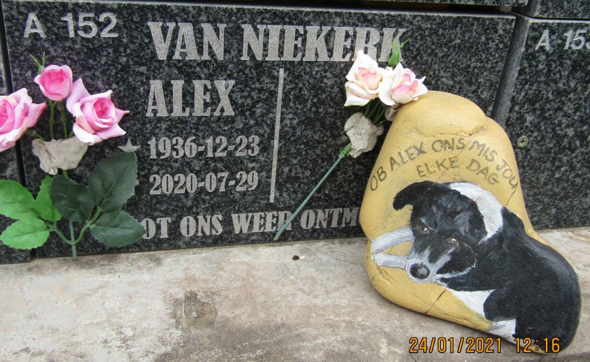 NIEKERK Alex, van 1936-2020
