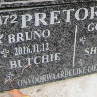 PRETORIUS Bruno -2016 :: PRETORIUS Butchie :: PRETORIUS Shivan