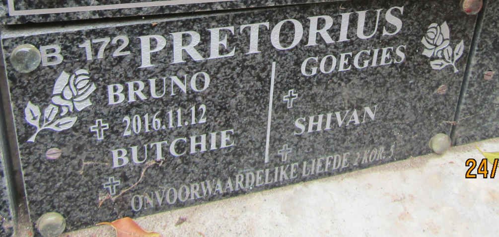 PRETORIUS Bruno -2016 :: PRETORIUS Butchie :: PRETORIUS Shivan