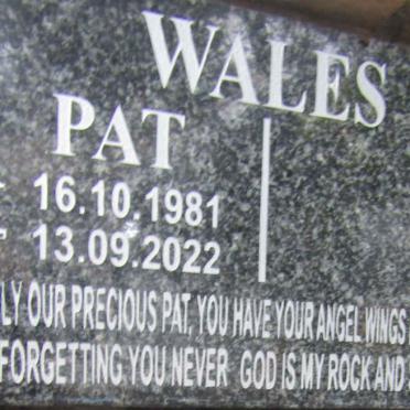 WALES Pat 1981-2022