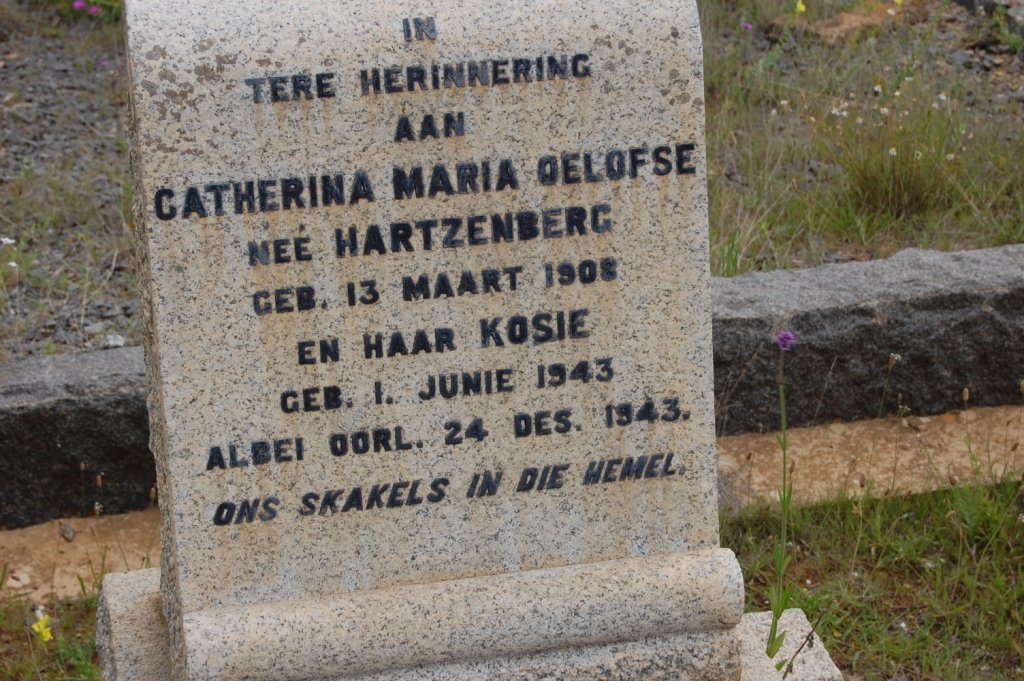 OELOFSE Catherina Maria nee HARTZENBERG 1908-1943 :: OELOFSE Kosie 1943-1943