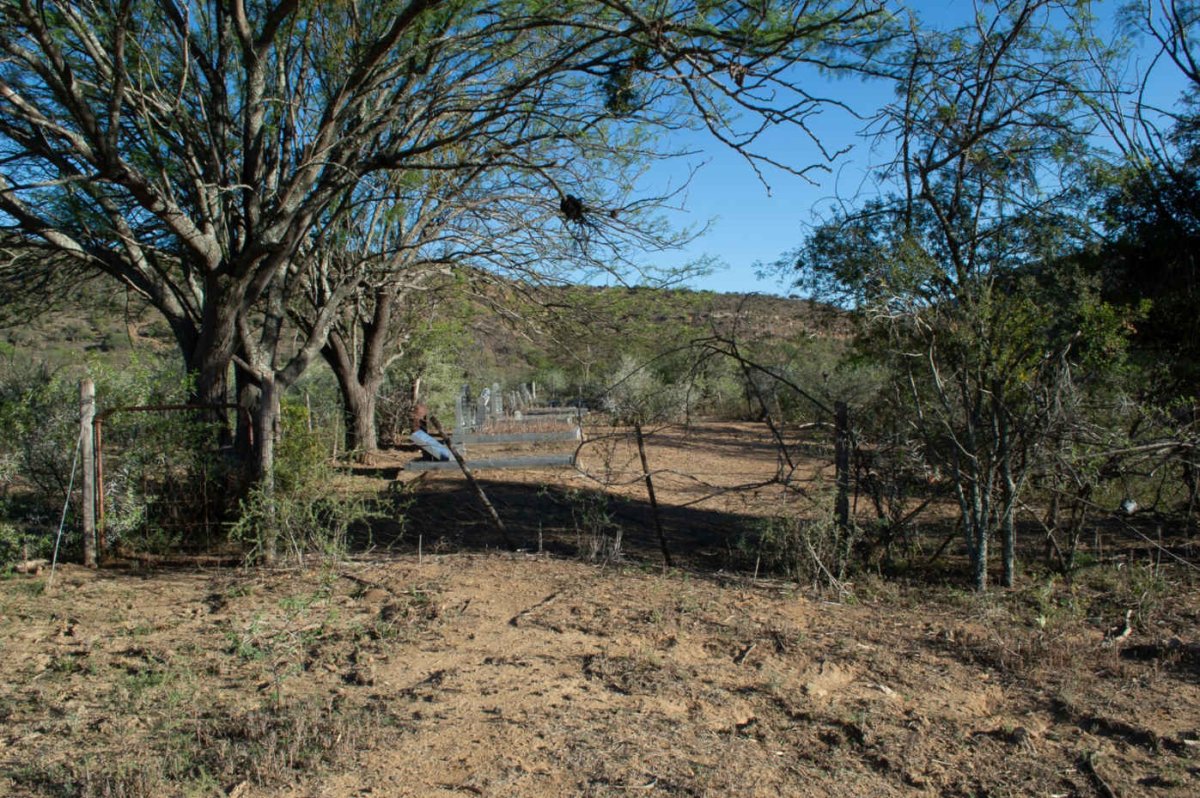 1. Oorsig / Overview
