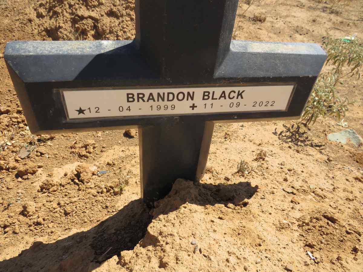 BLACK Brandon 1999-2022 