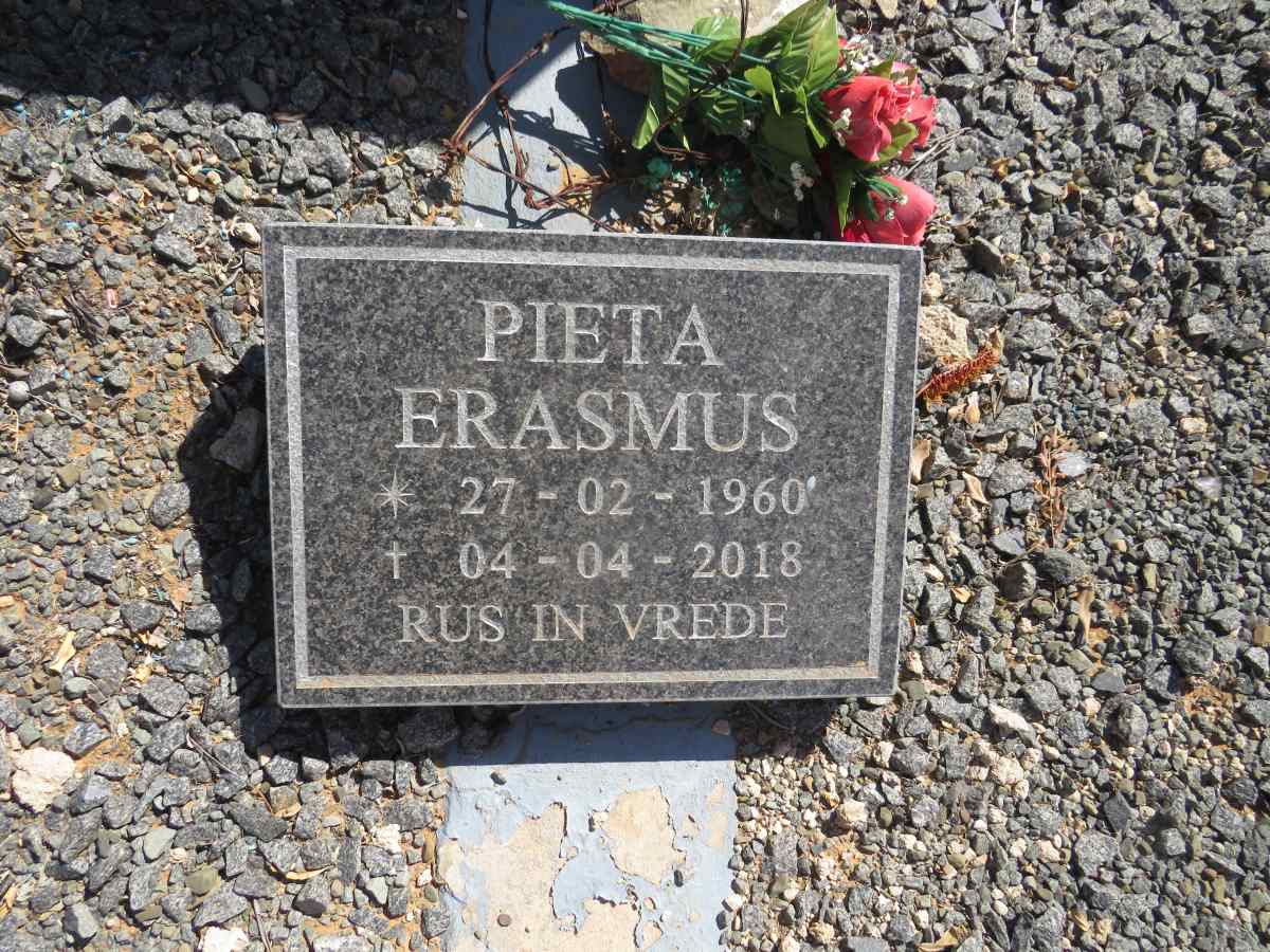 ERASMUS Pieta 1960-2018