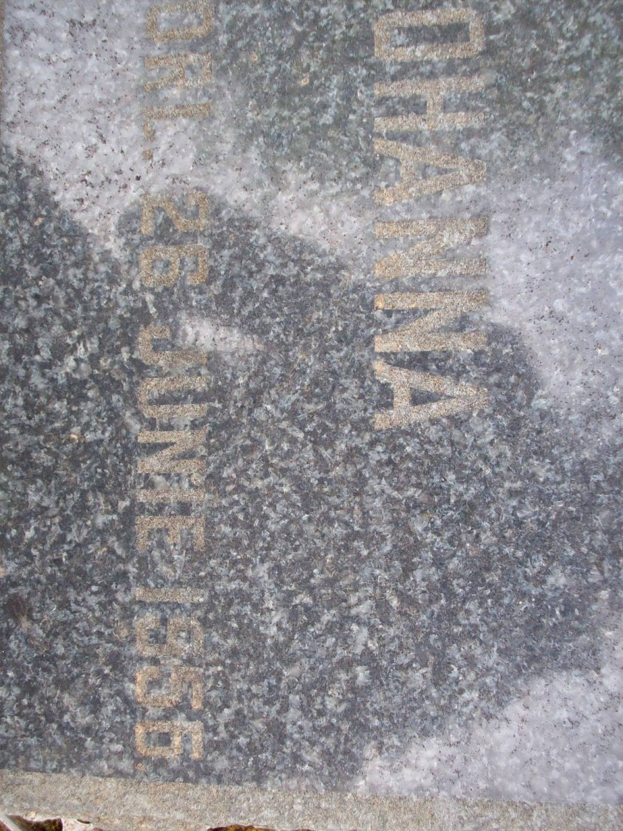 ? Aletta Johanna 1893-1956