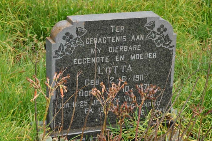 ? Lotta 1911-1971