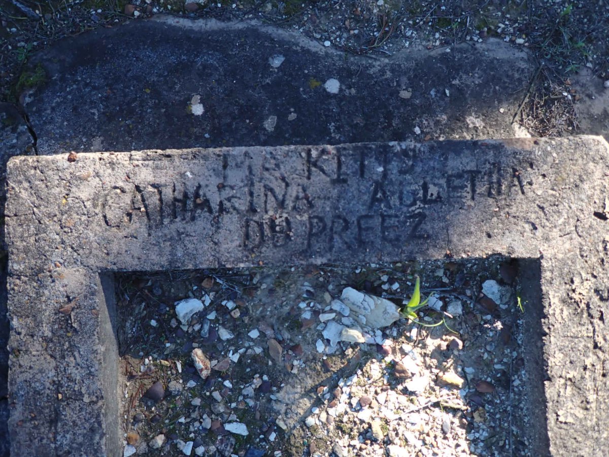 PREEZ Catharina Alletha, du 