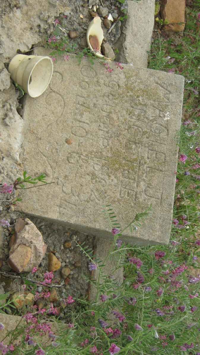 NORTJE Magiel J. 1882-1934