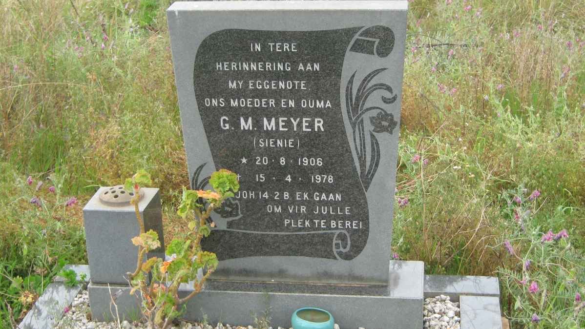 MEYER G.M. nee SIENIE 1906-1978