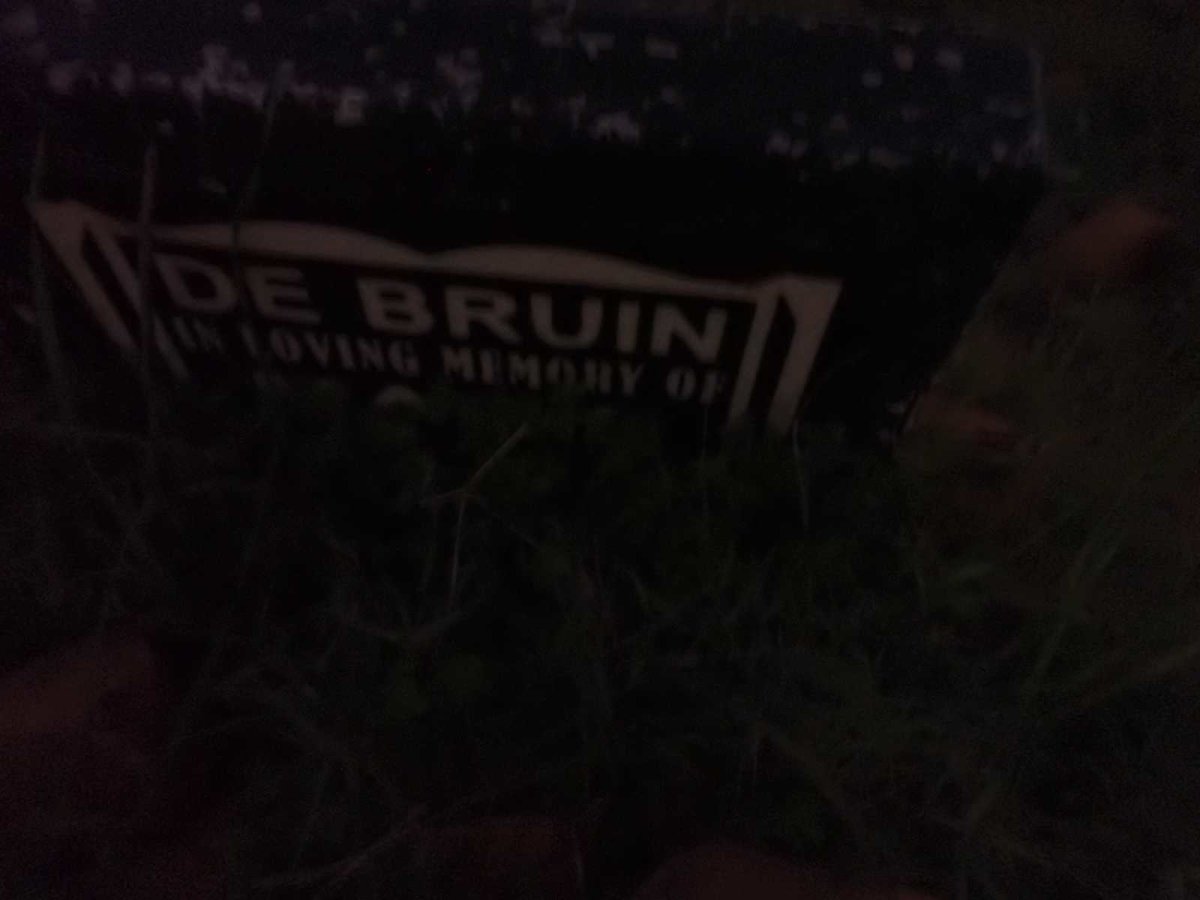 BRUIN, de