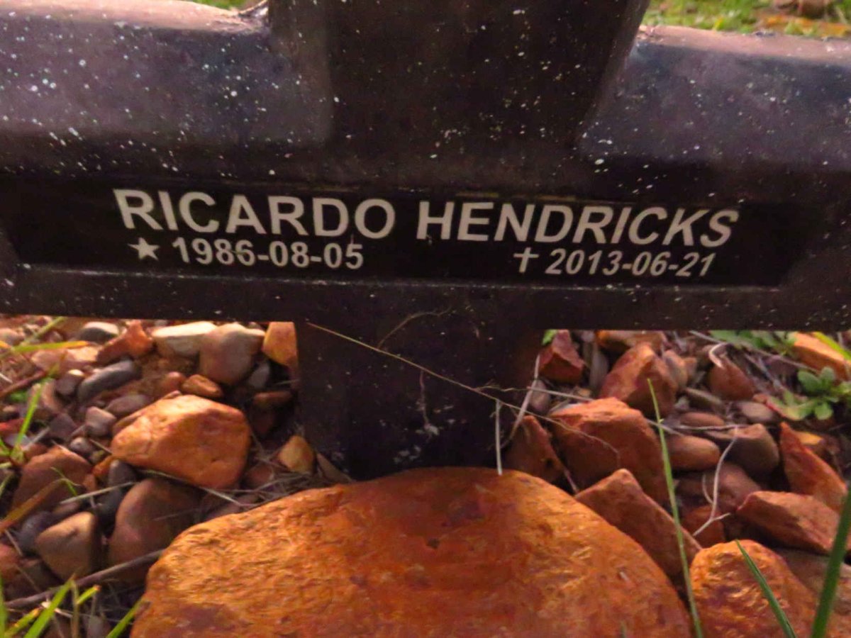 HENDRICKS Ricardo 1986-2013