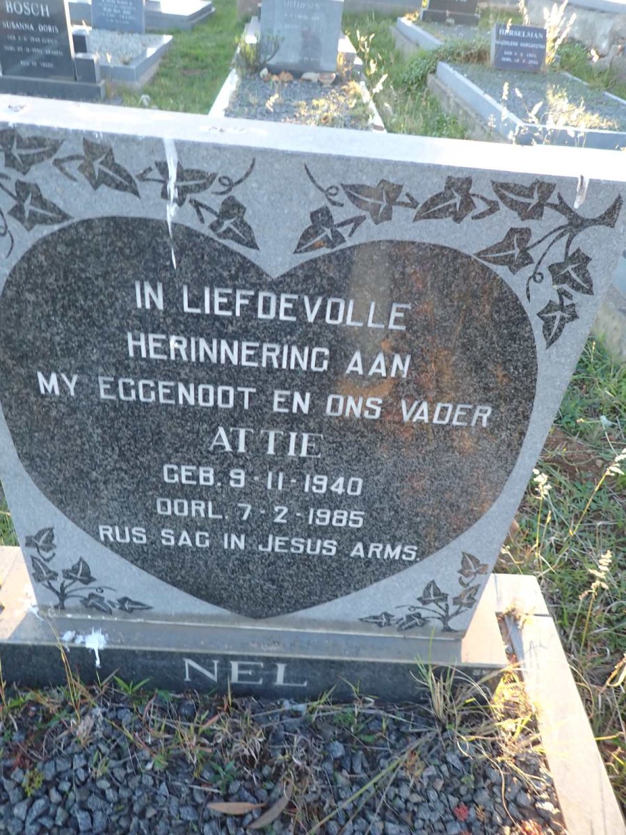 NEL Attie 1940-1985