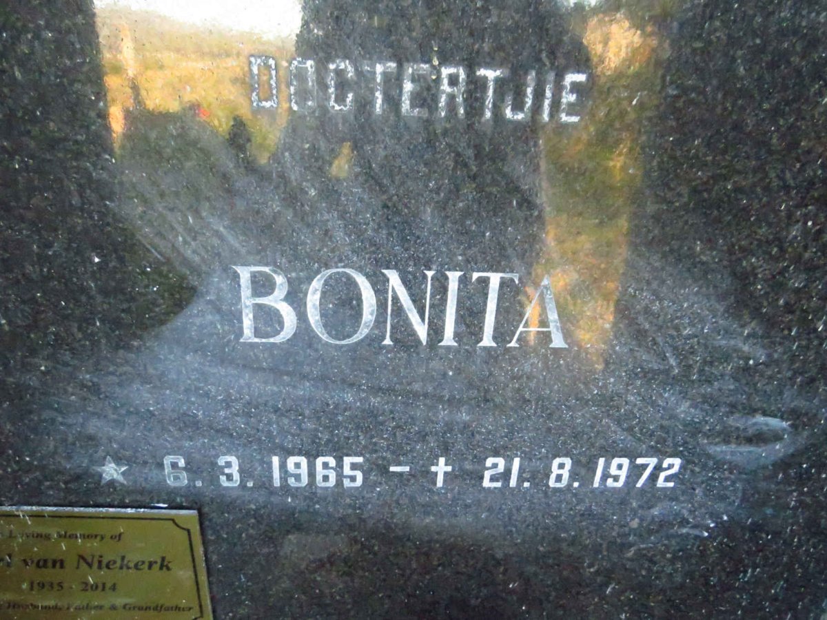 NIEKERK Bonita, van 1965-1972 _2
