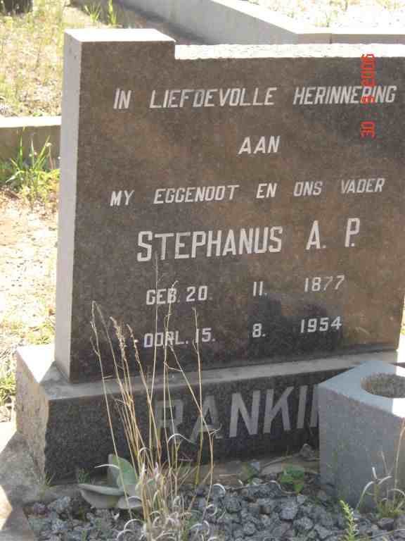 RANKIN Stephanus A. P. 1877-1954