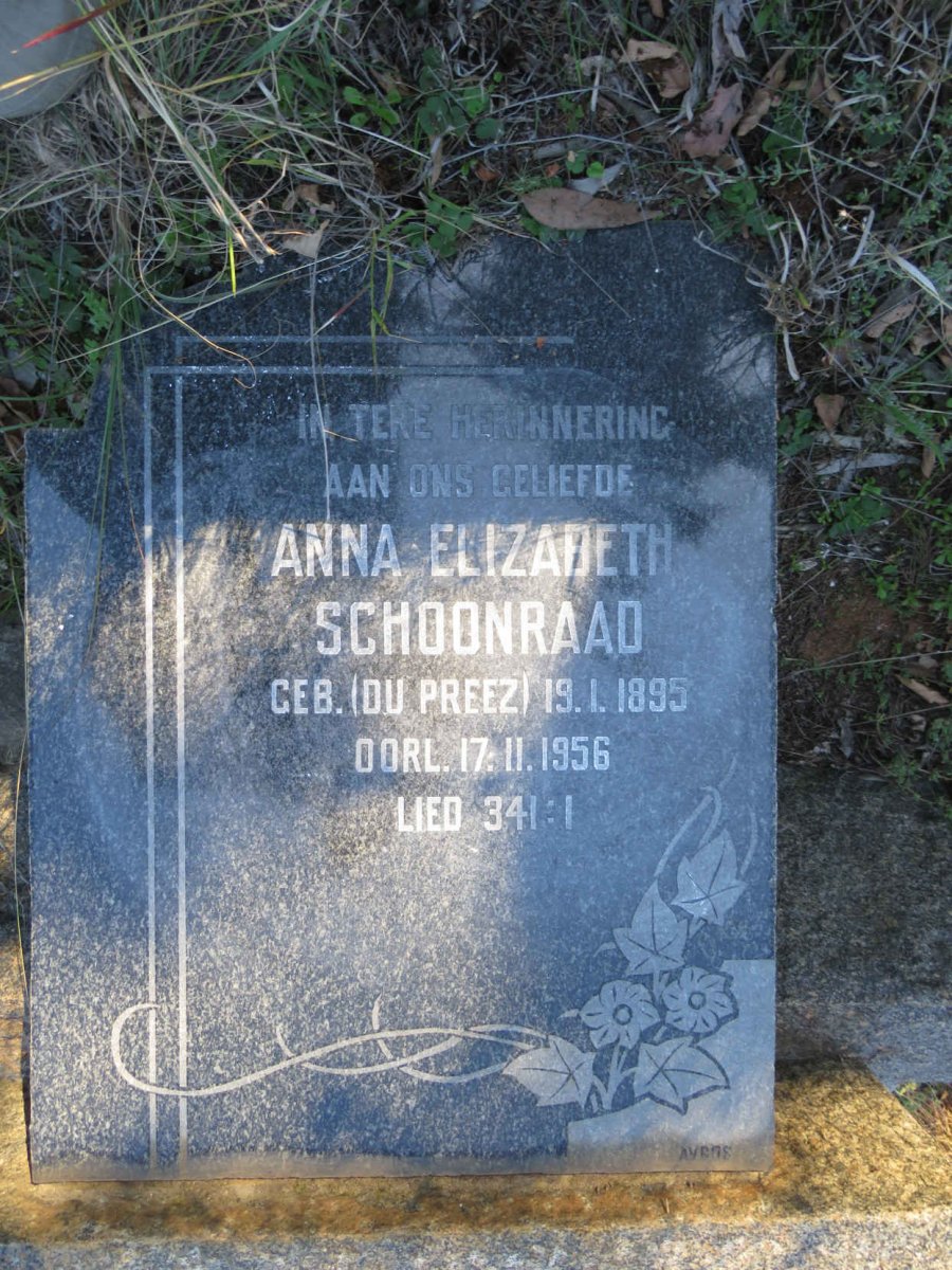 SCHOONRAAD Anna Elizabeth nee DU PREEZ 1895-1956