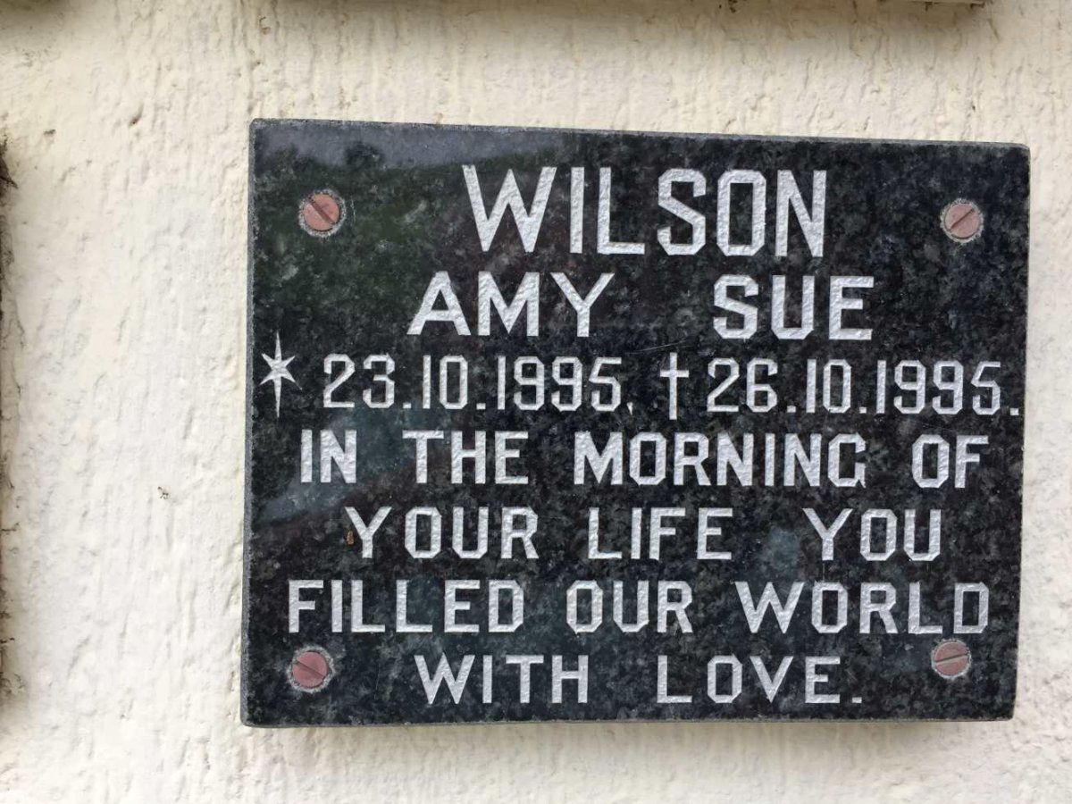 WILSON Amy Sue 1995-1995