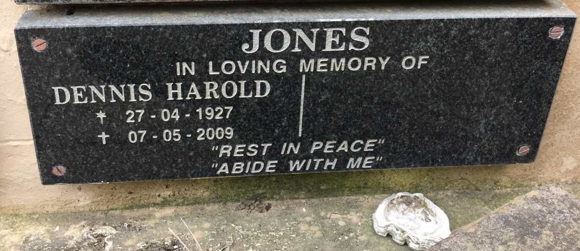 JONES Dennis Harold 1927-2009