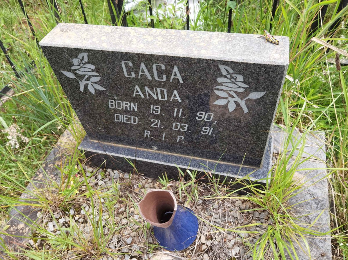 ANDA Gaca 1990-1991