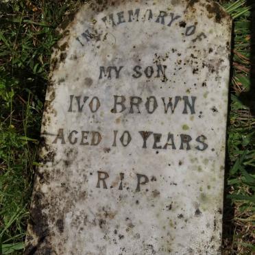 BROWN Ivo