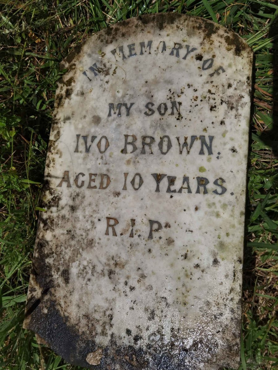 BROWN Ivo