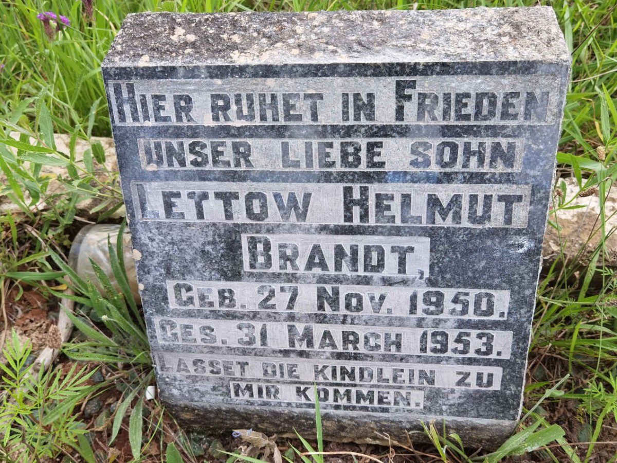 BRANDT Lettow Helmut 1950-1953