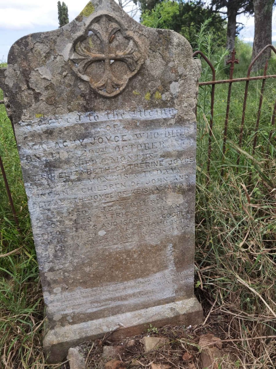 JOYCE Malaghy -1873 :: JOYCE Elizabeth Catherine :: COGHLAN John Les Patrick -18?