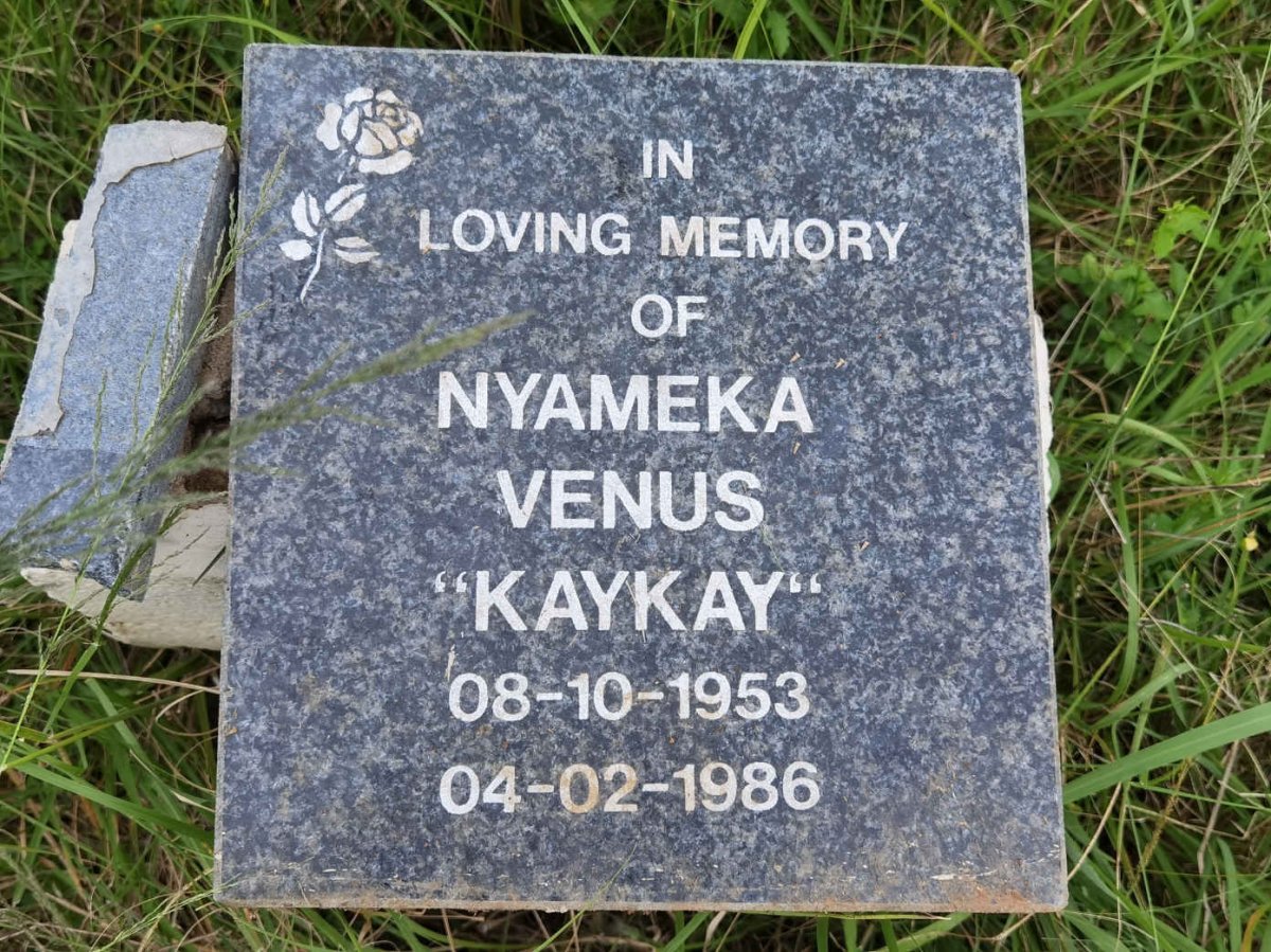 VENUS Nyameka 1953-1986