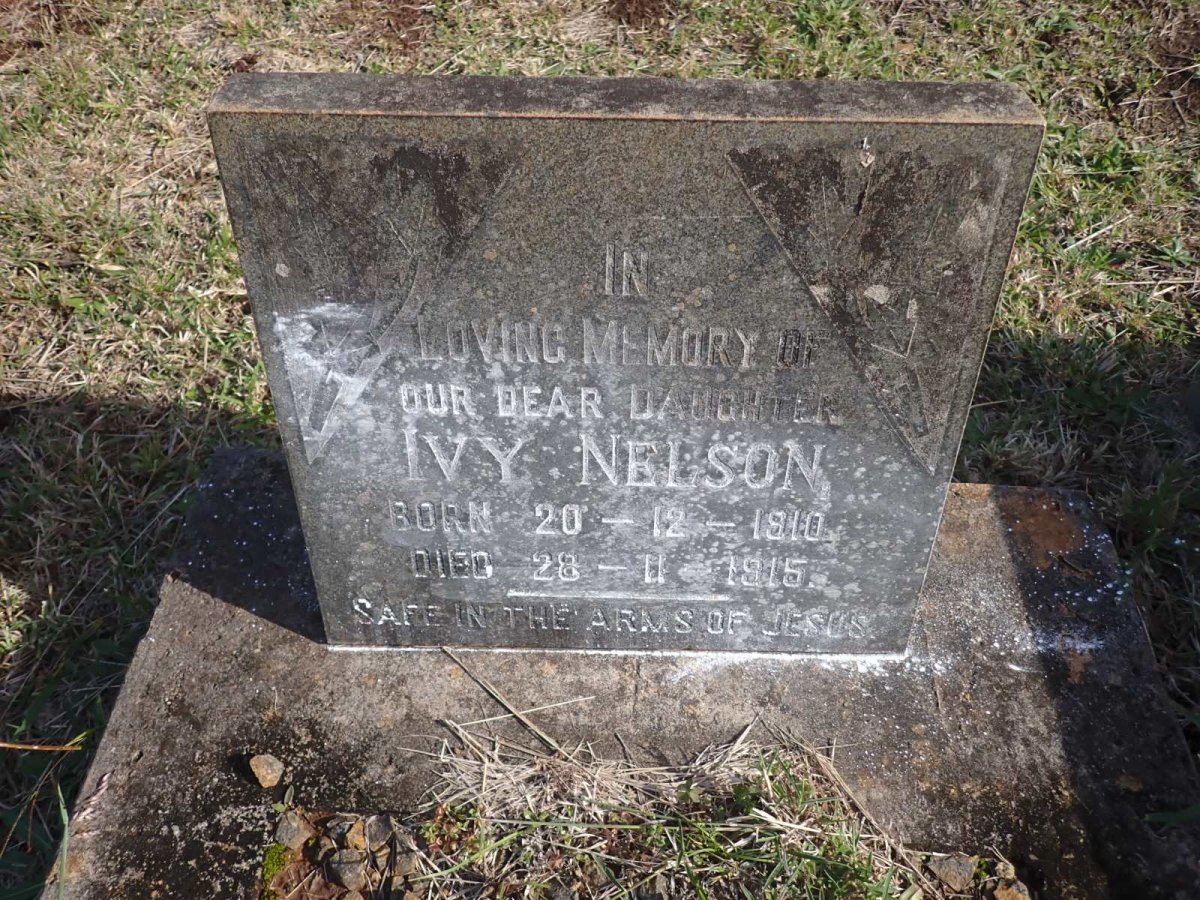 NELSON Ivy 1910-1915