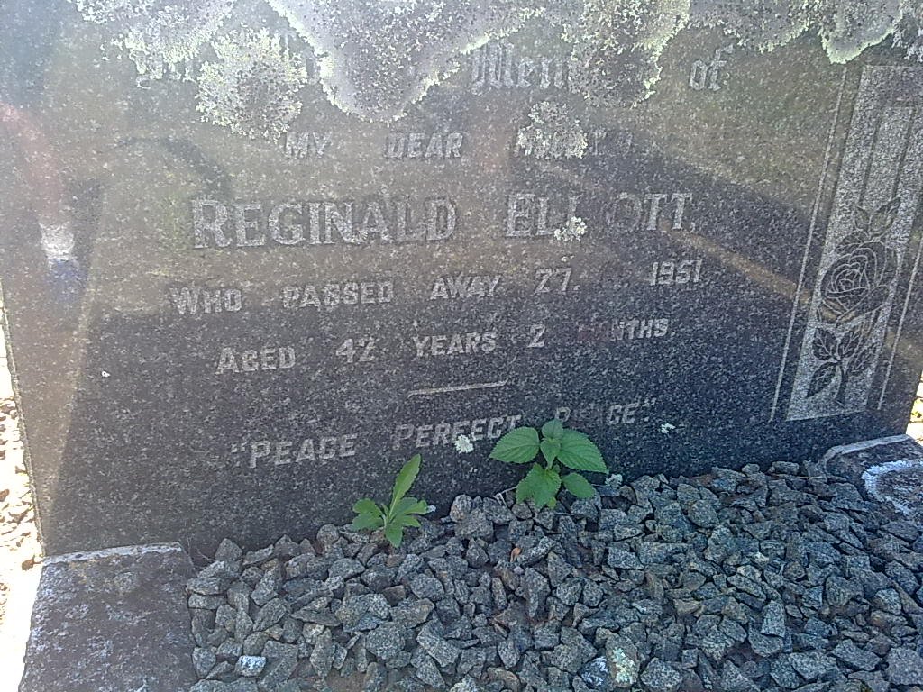 ELLIOTT Reginald -1951