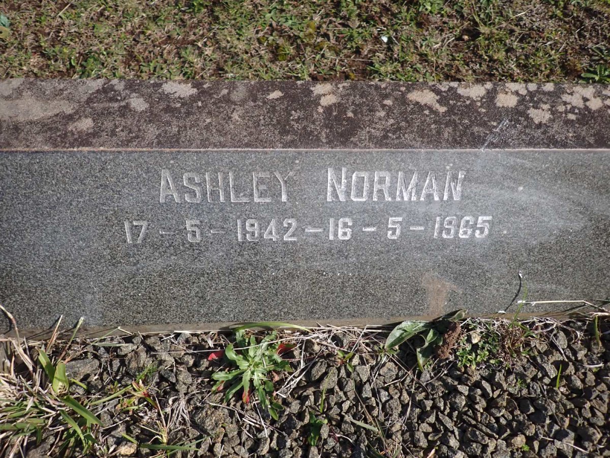 WARREN Ashley Norman 1942-1965