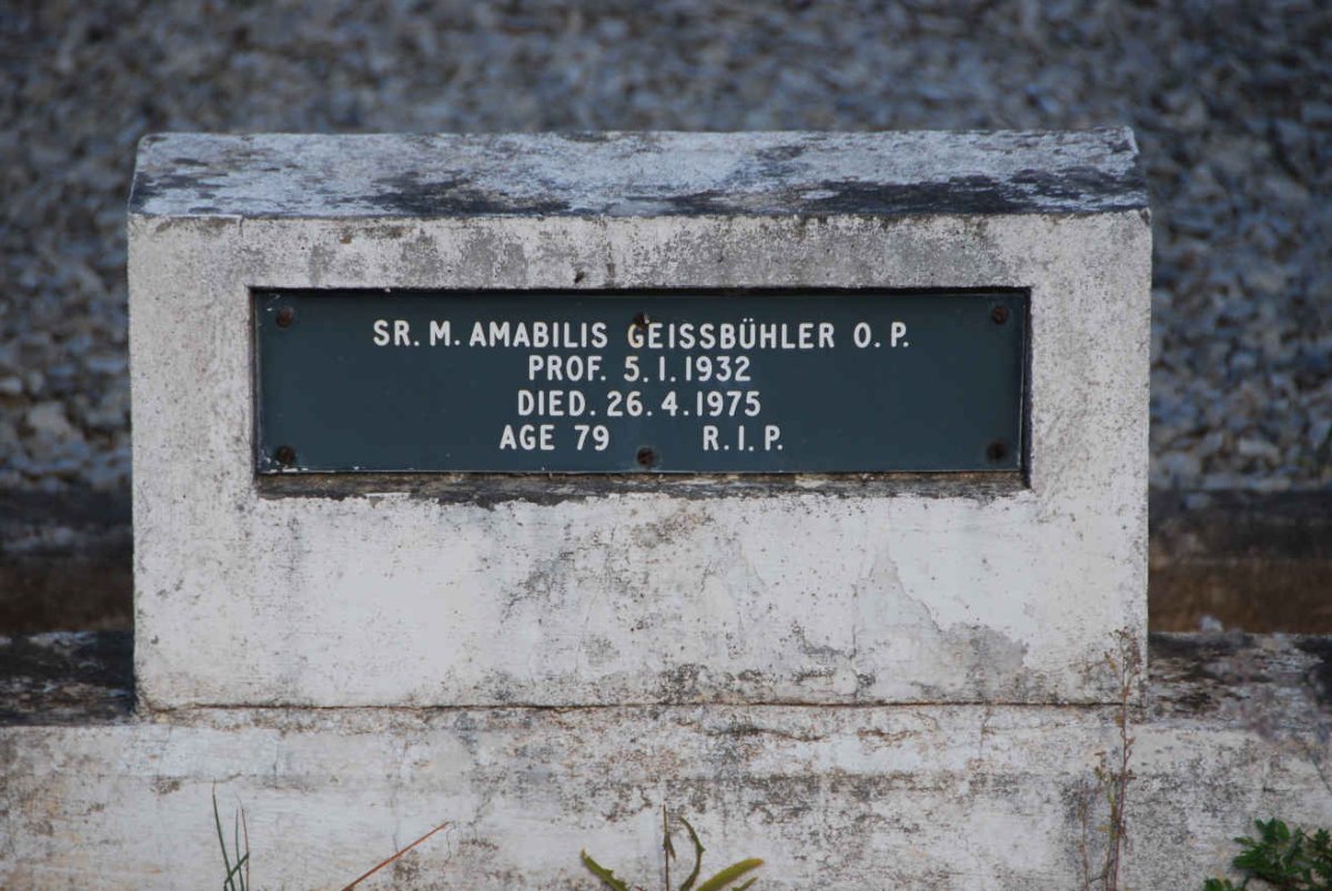 GEISSBÜHLER Amabilis -1975