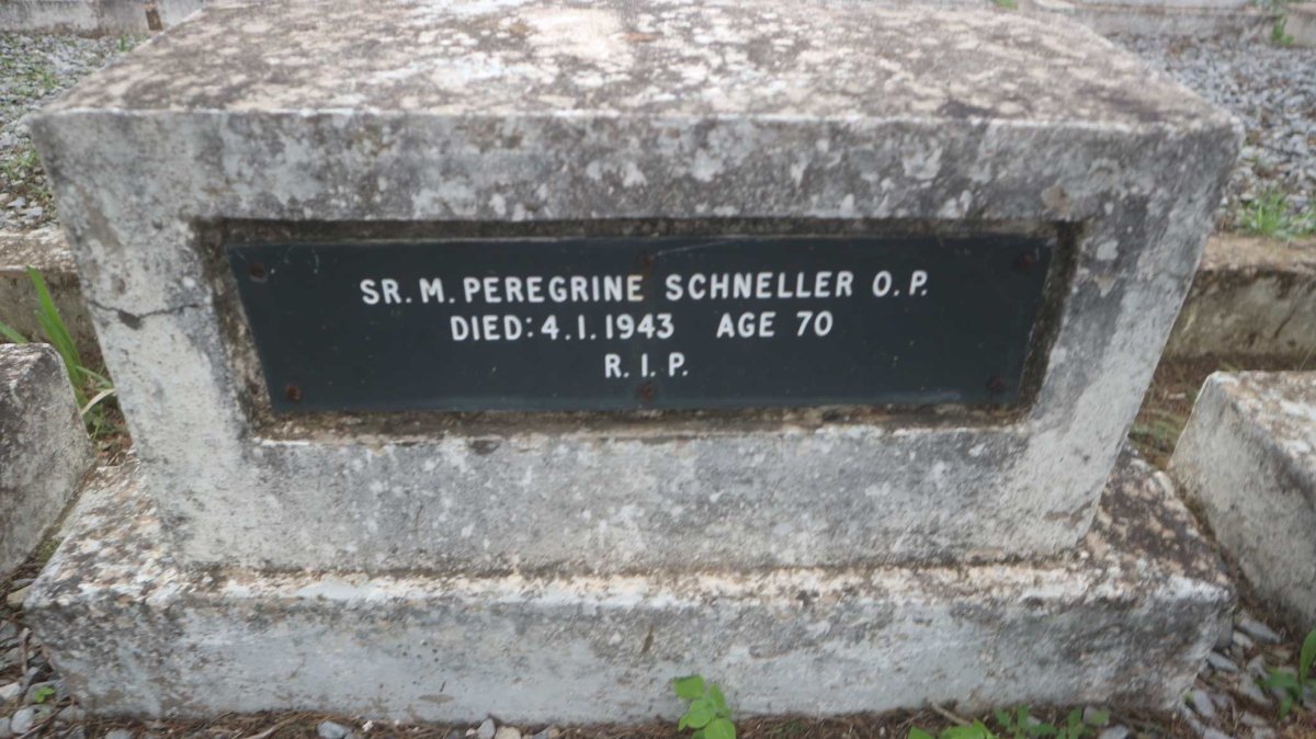 SCHNELLER Peregrine -1943