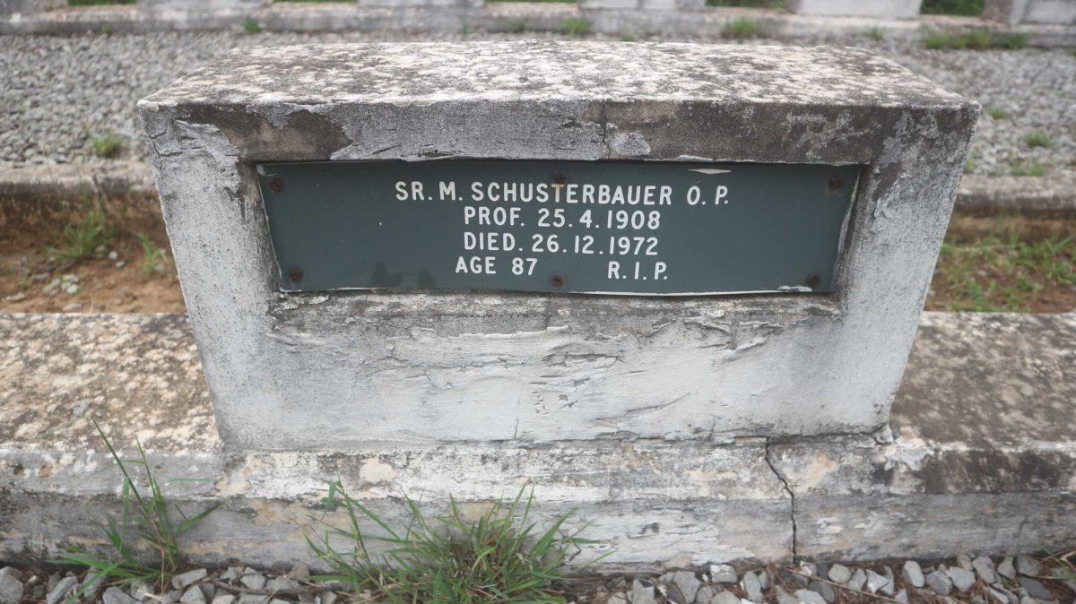 SCHUSTERBAUER M. -1972