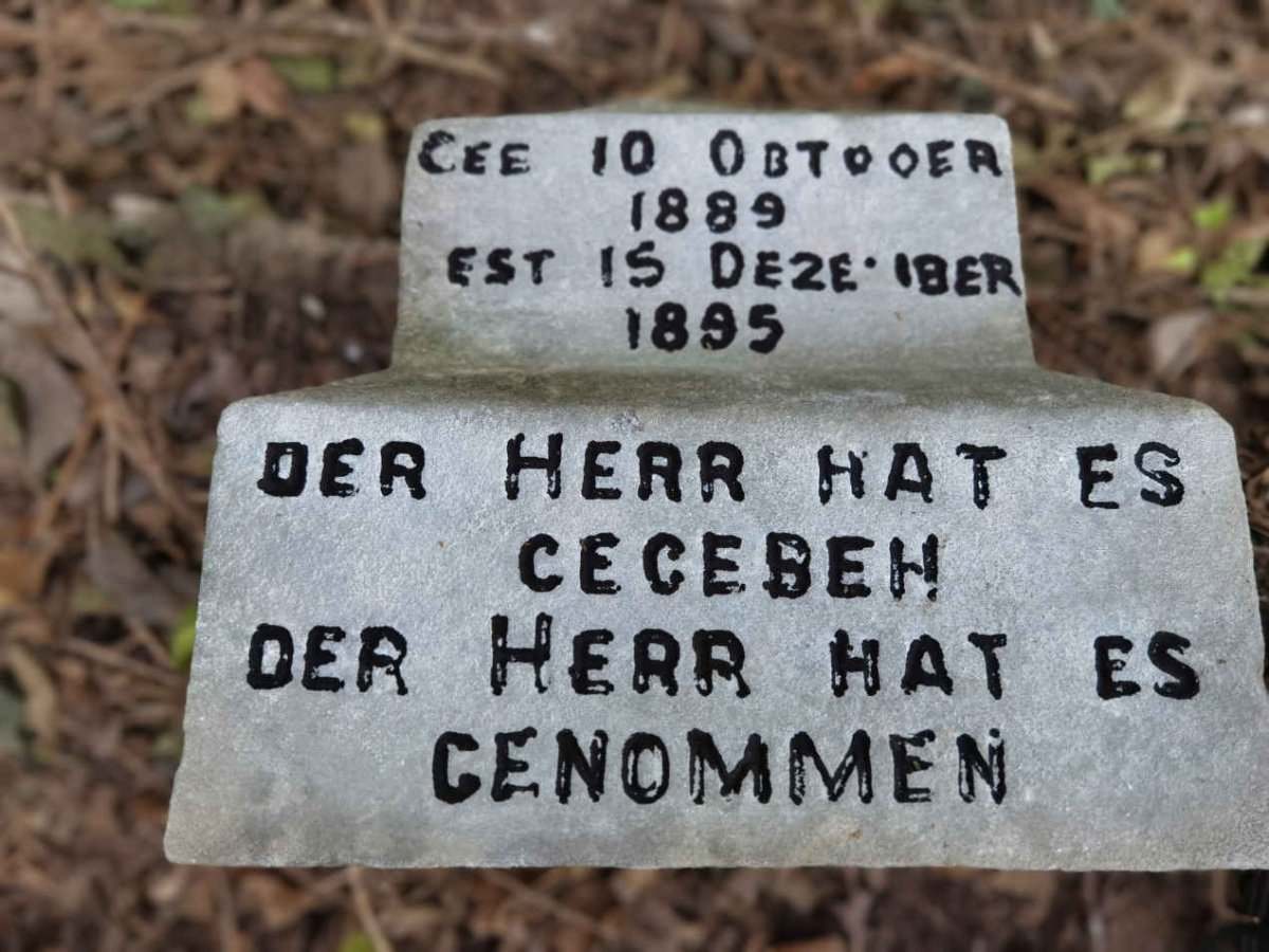 ? 1889-1895