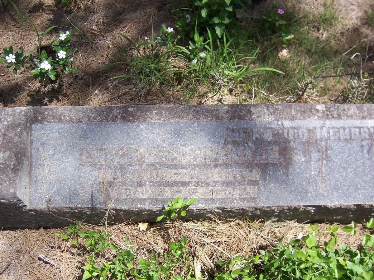 PAPE Ewald Leopold 1907-1964