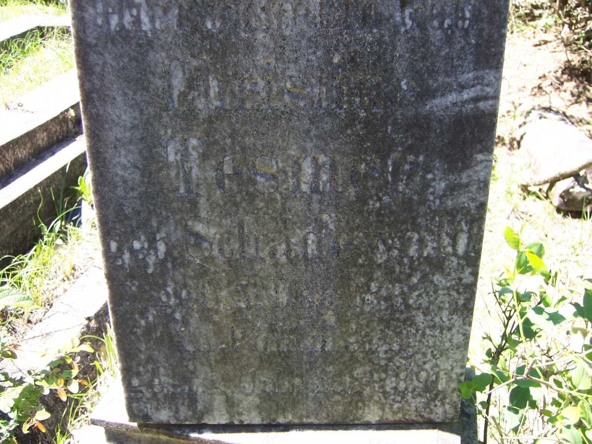 TESMER Christine