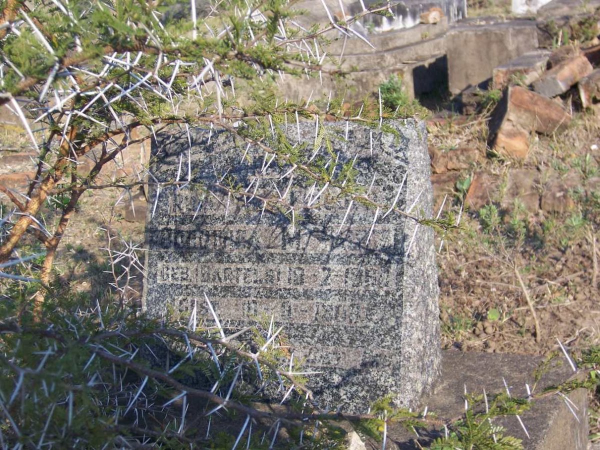 ? Dorothea M. 1860-????