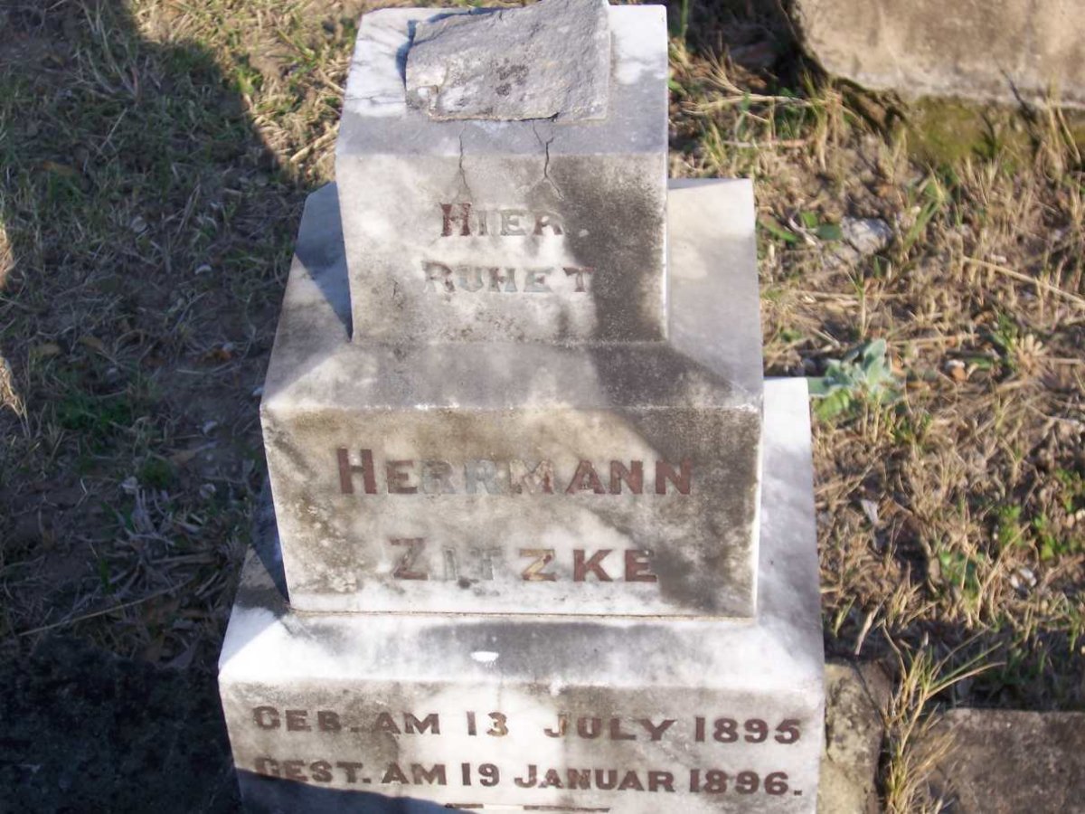 ZITZKE Herrmann 1895-1896